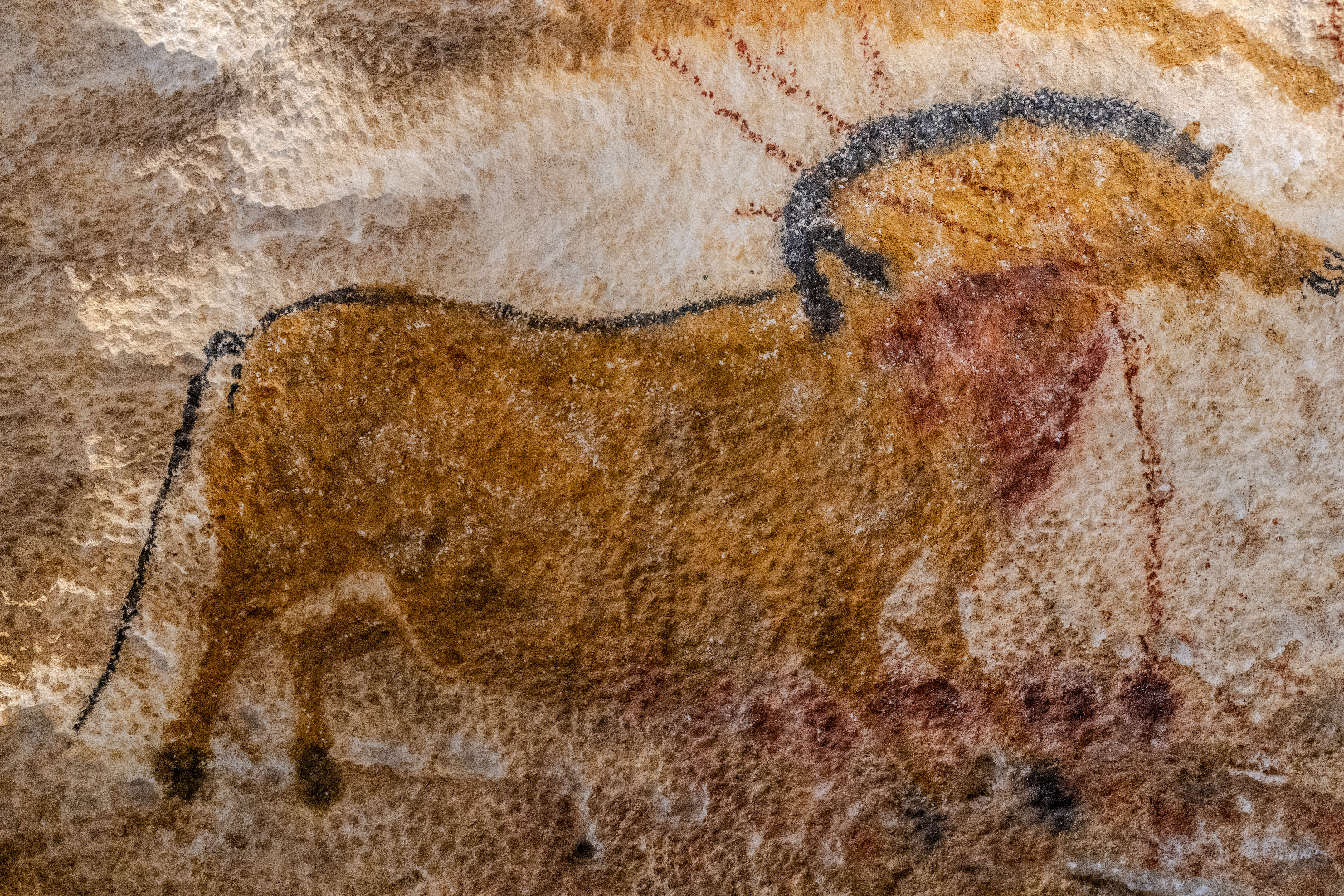 Lascaux_IV_Z6iii_06052025_5370.jpg