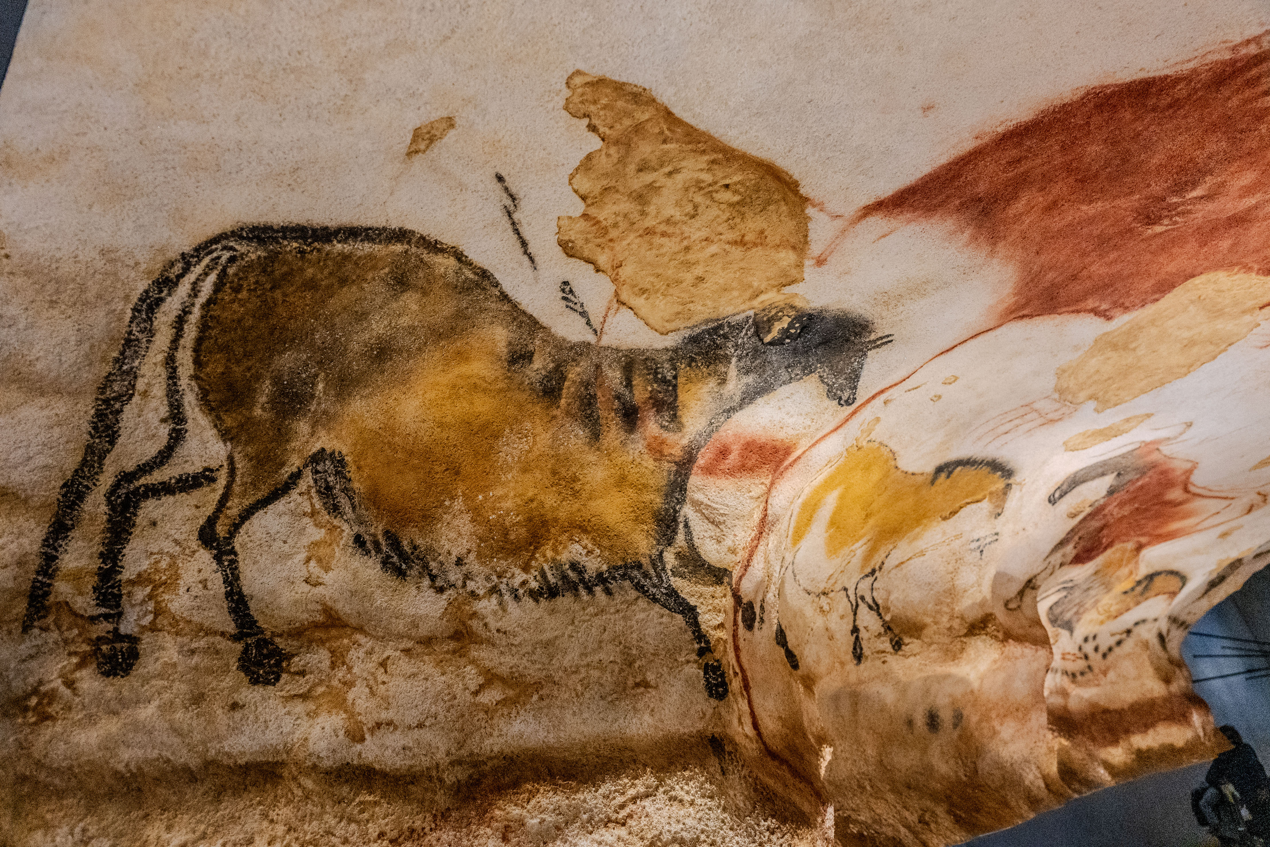 Lascaux_IV_Z6iii_06052025_5372.jpg