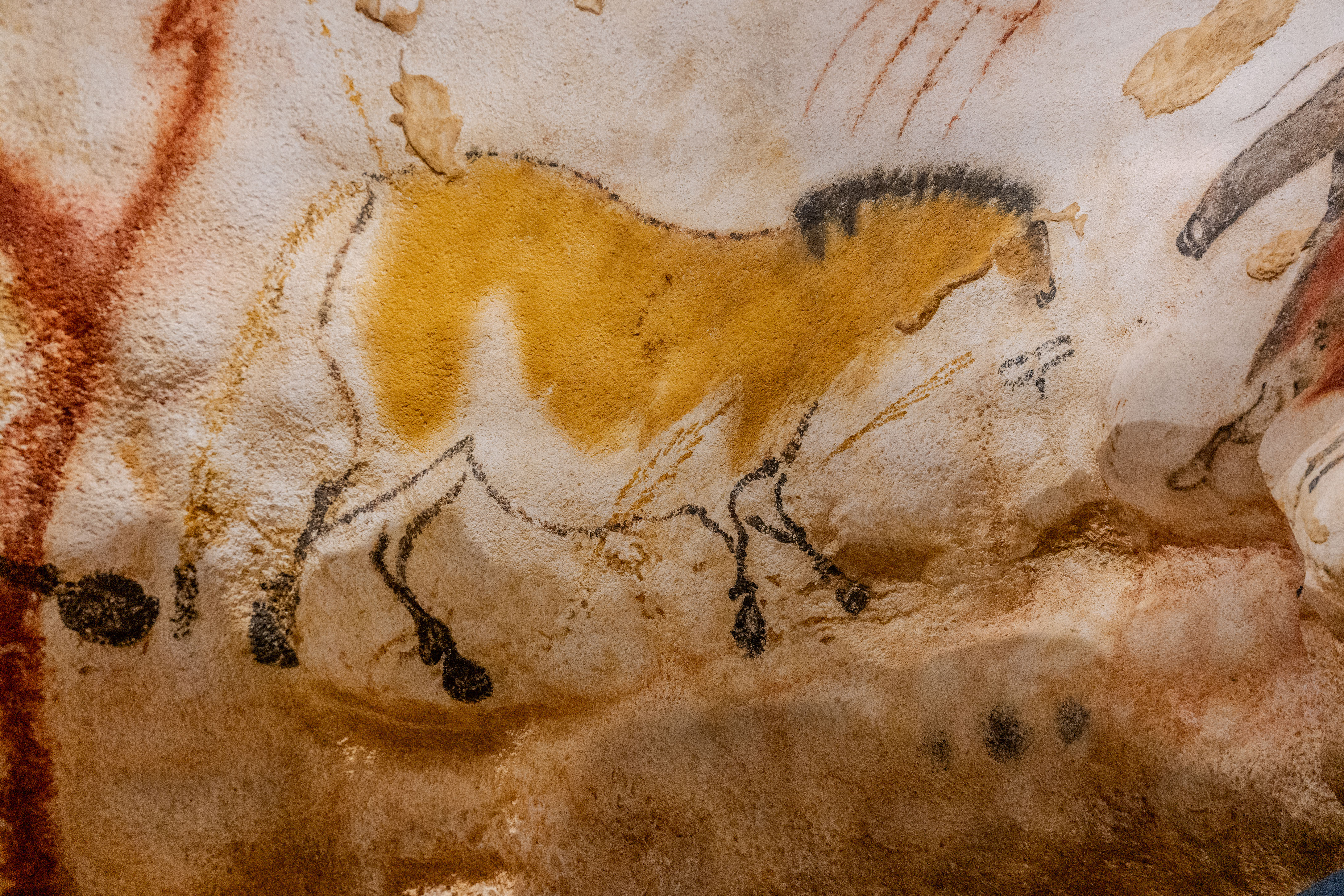 Lascaux_IV_Z6iii_06052025_5373.jpg