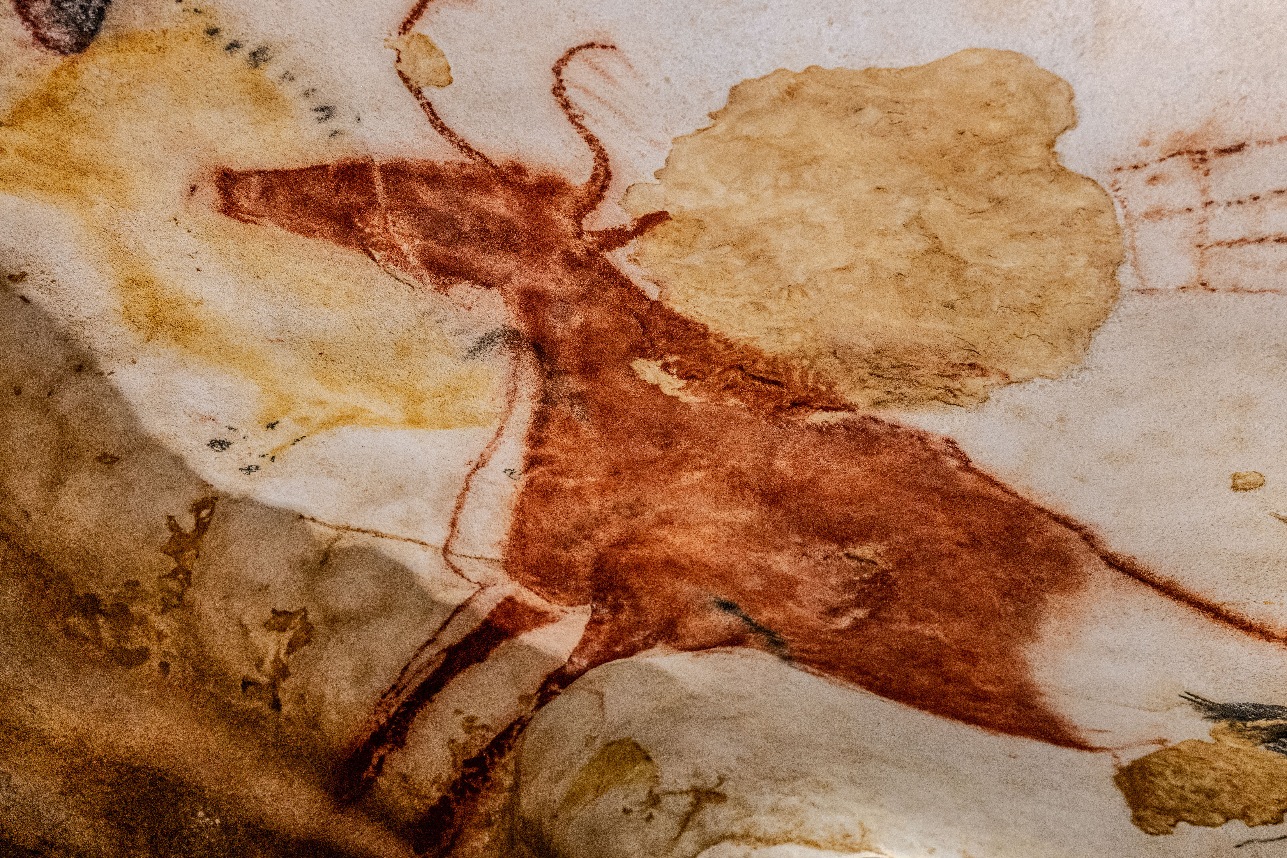 Lascaux_IV_Z6iii_06052025_5374.jpg