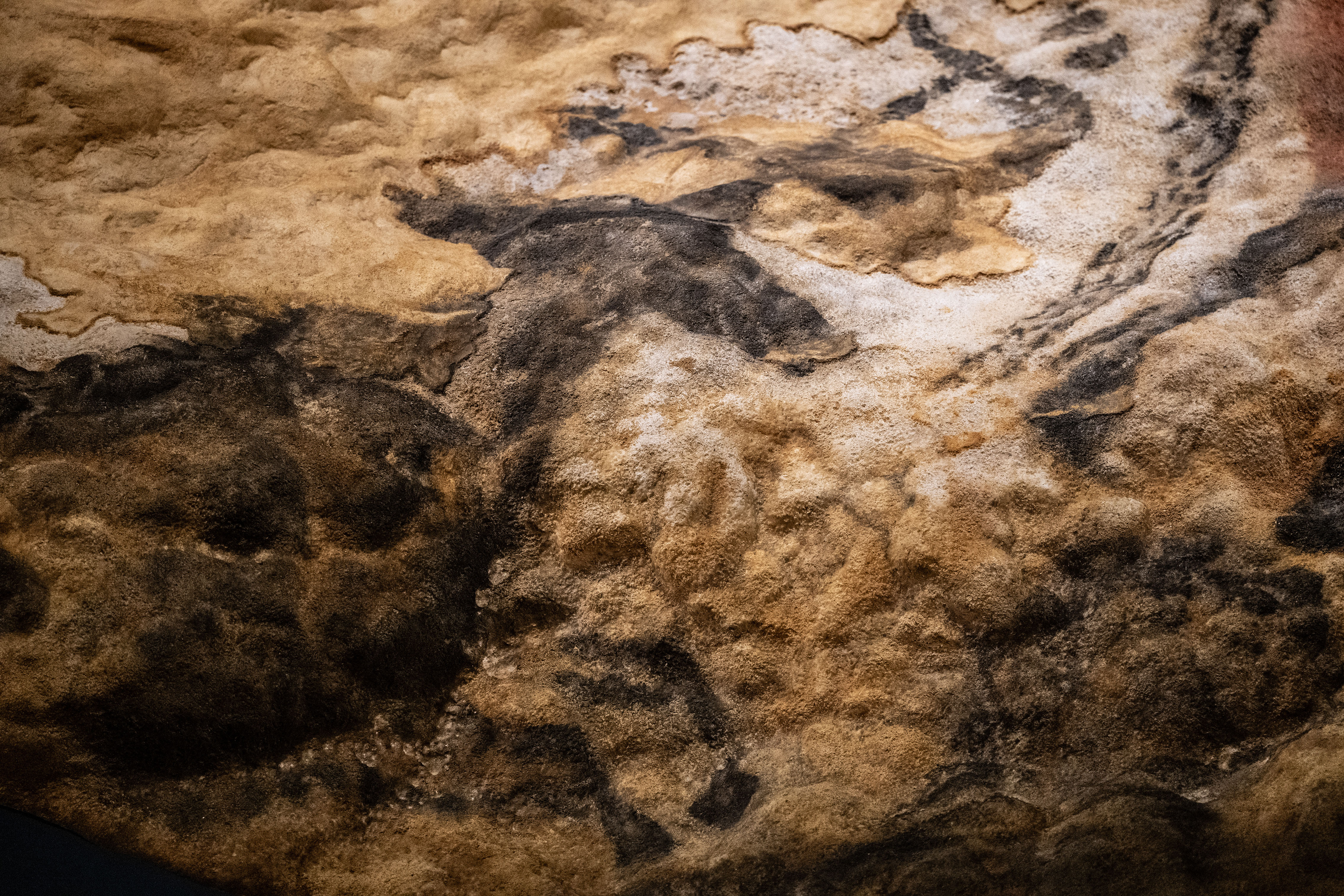 Lascaux_IV_Z6iii_06052025_5378.jpg