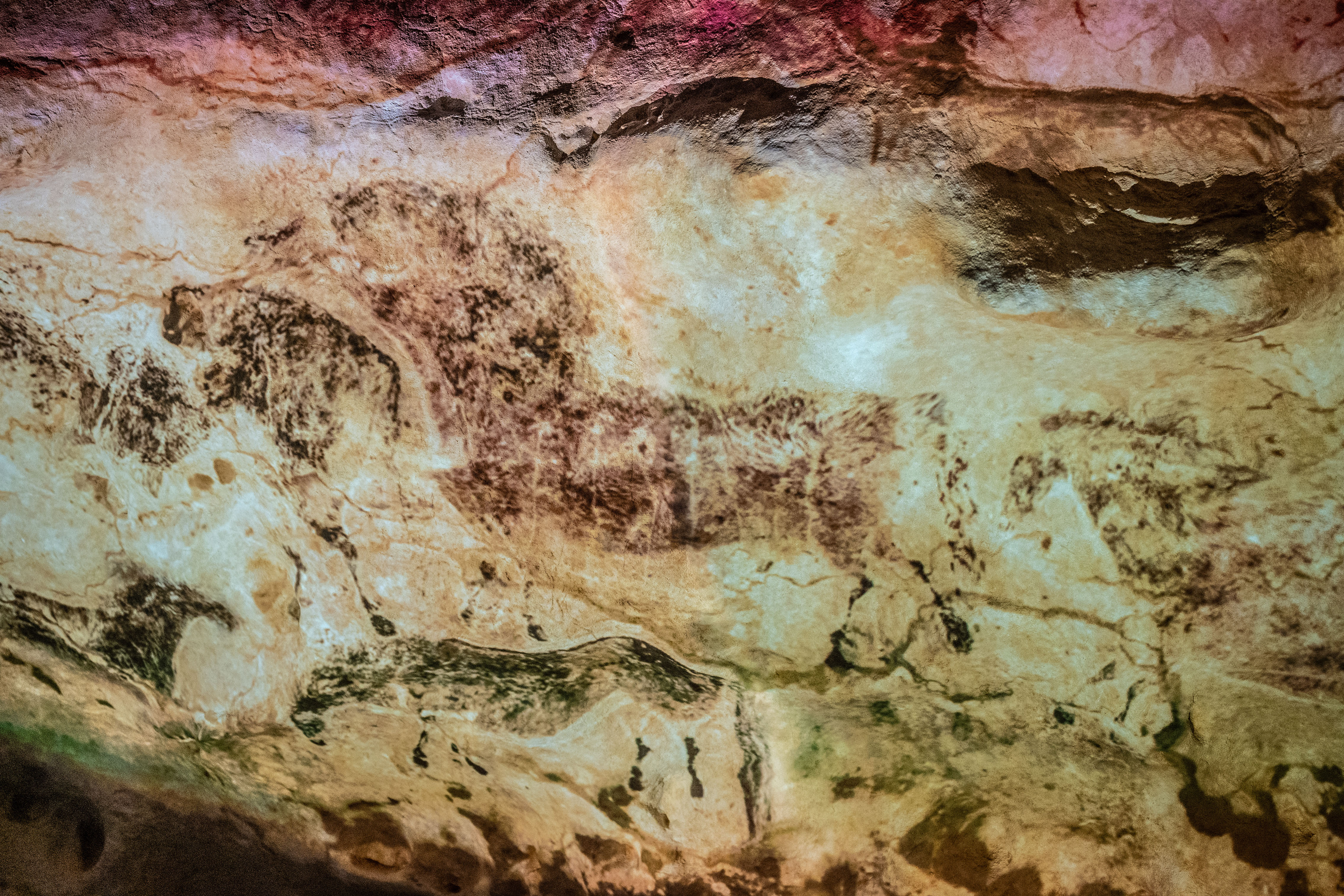 Lascaux_IV_Z6iii_06052025_5382.jpg