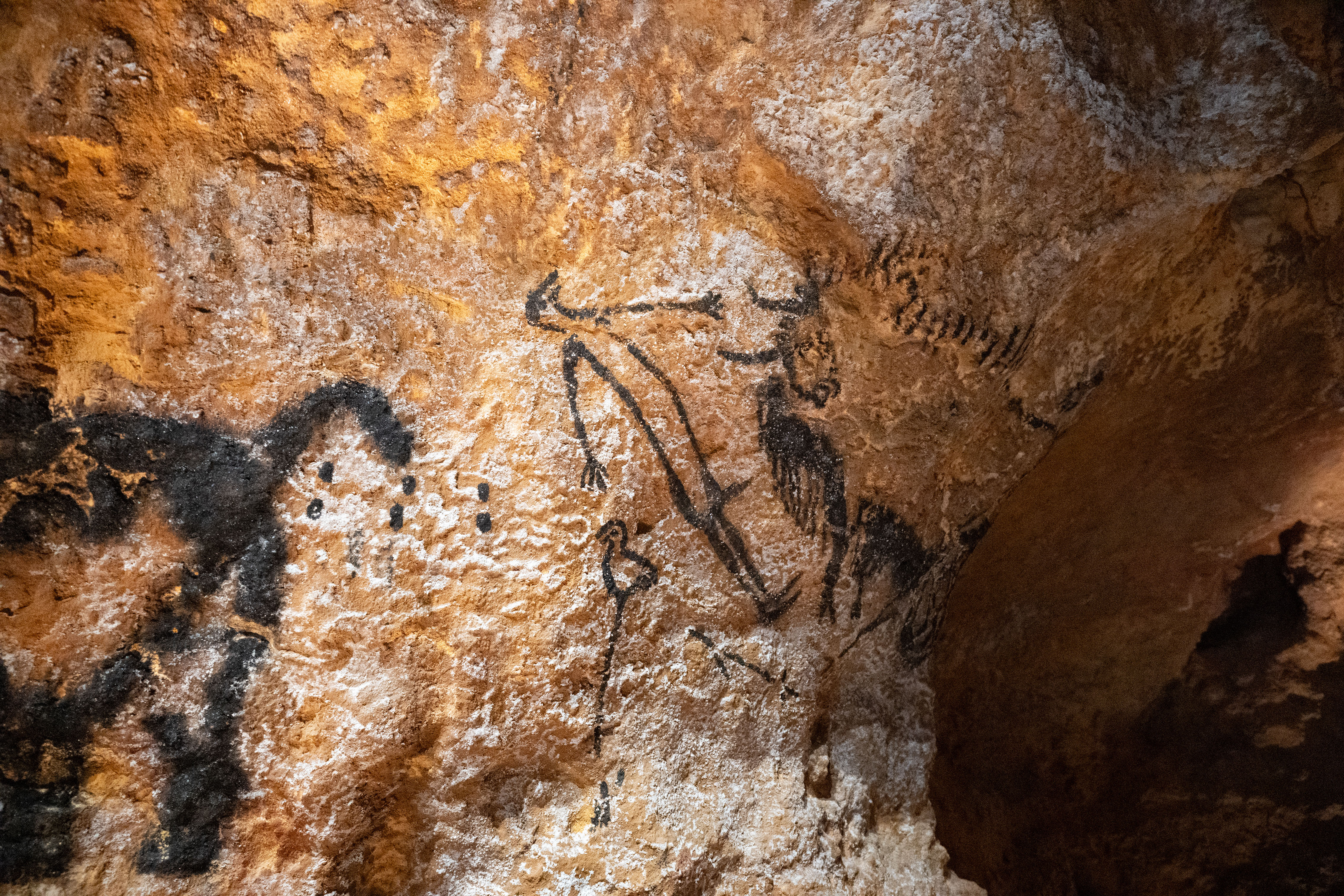 Lascaux_IV_Z6iii_06052025_5385.jpg