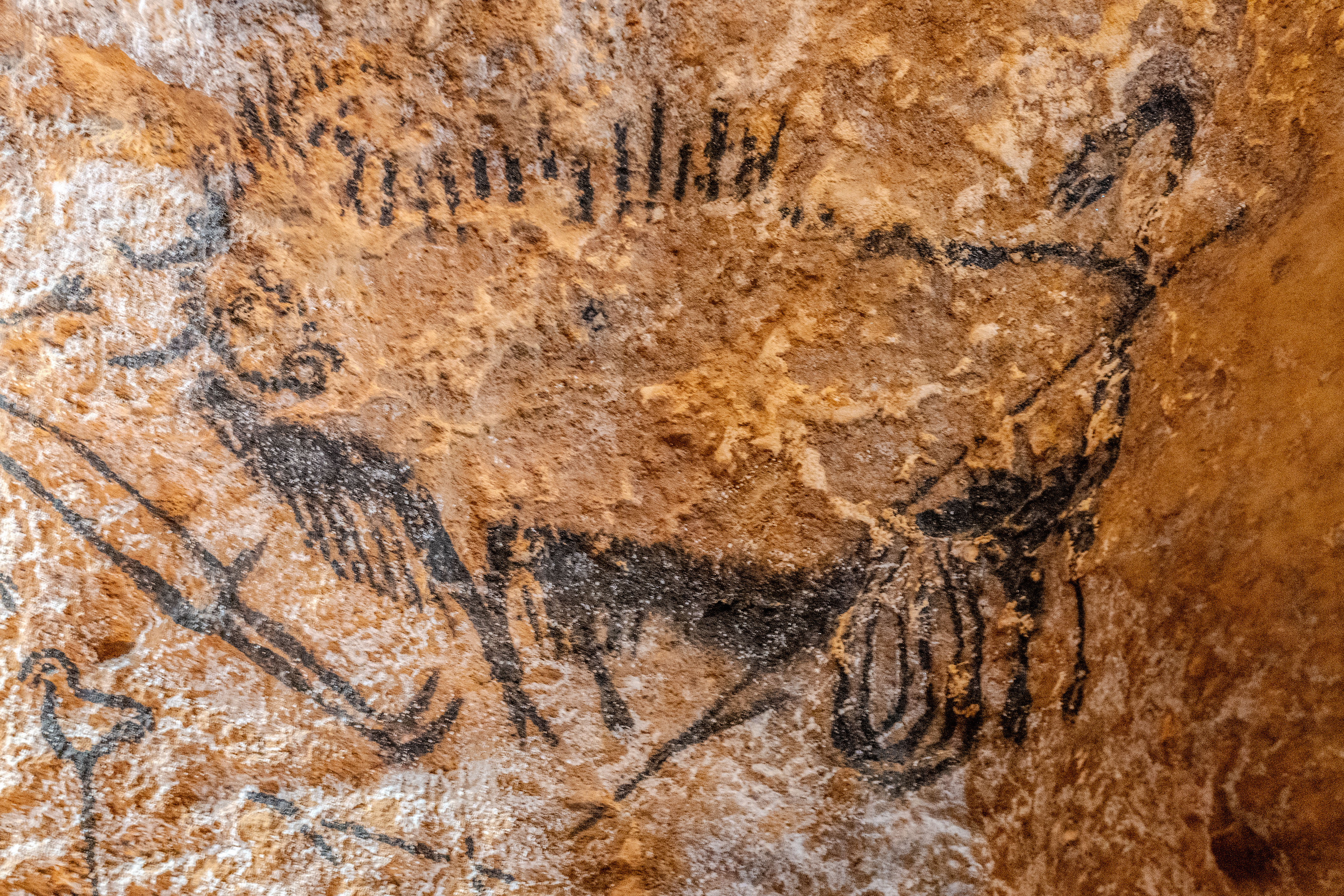 Lascaux_IV_Z6iii_06052025_5387.jpg