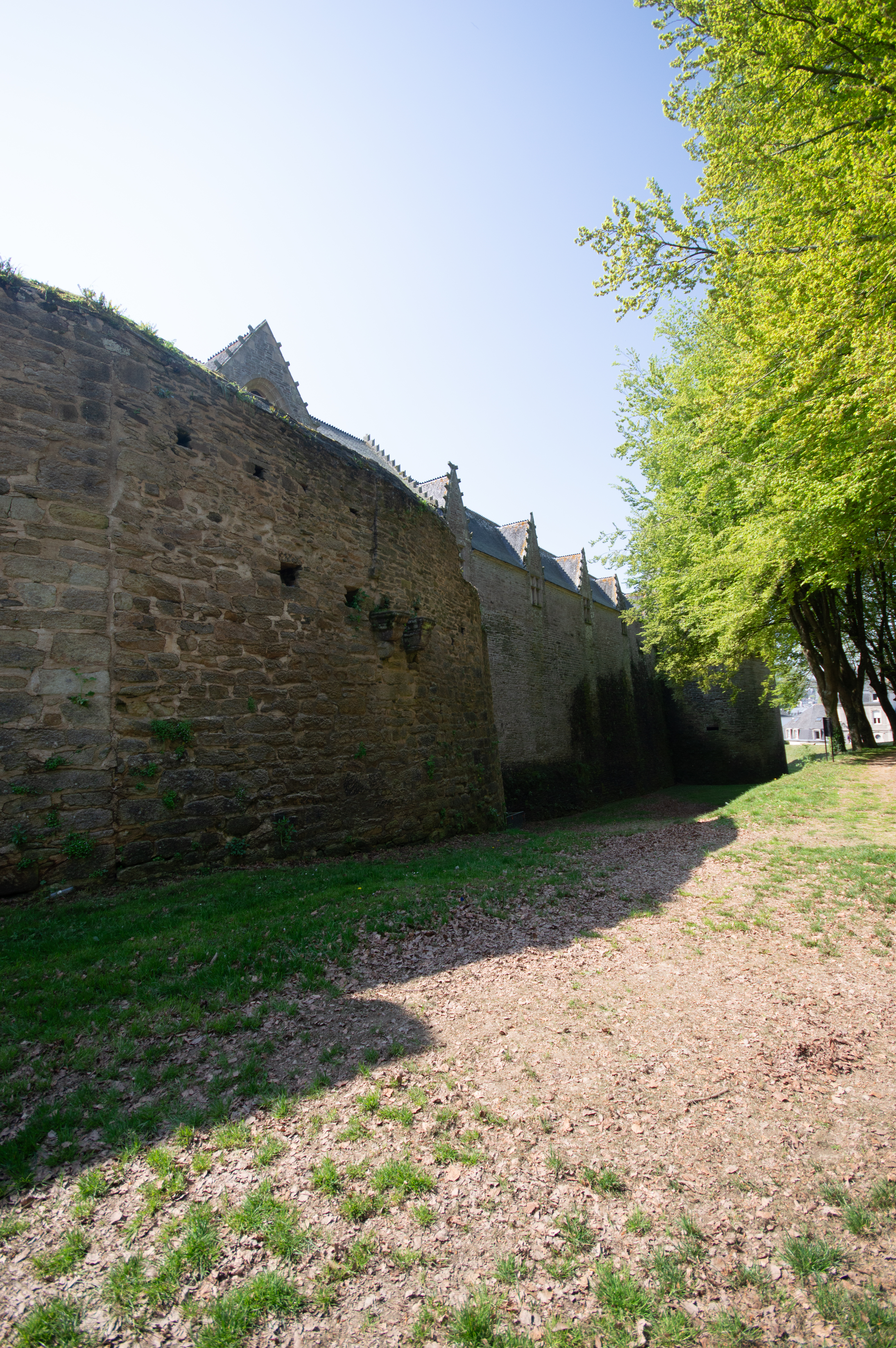 Château_de_Pontivy_D780_04212018_985.jpg