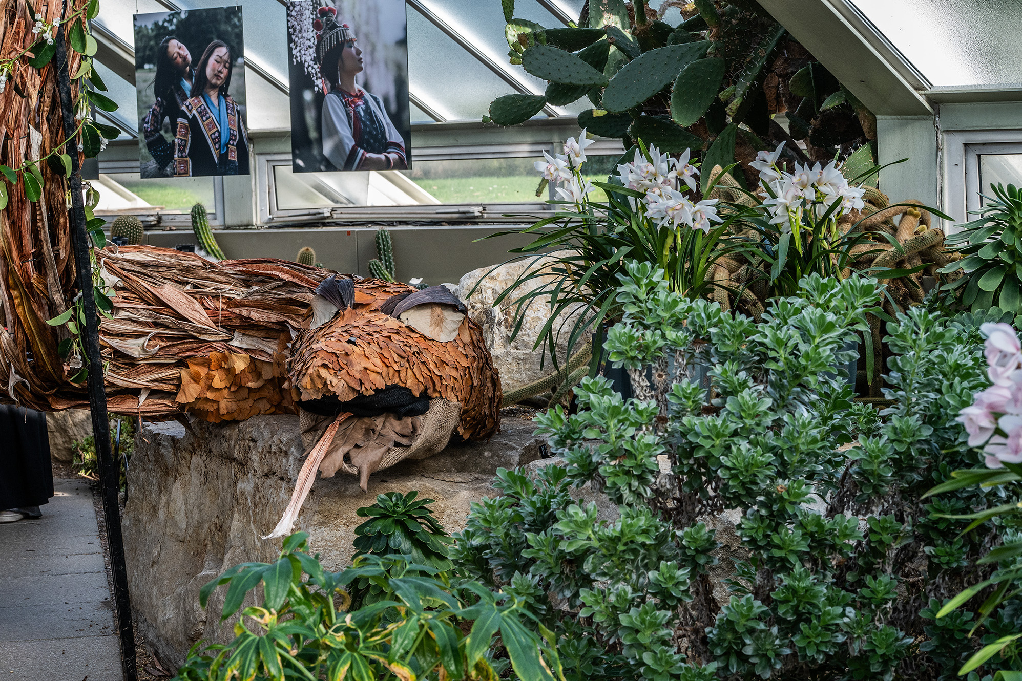 The image depicts a garden scene with a large, intricately designed sculpture of a bird made from natural materials such as wood and feathers. The bird is positioned among various plants, including cacti, succulents, and white flowers. In the background, there are photographs of people in traditional attire displayed on a window. The setting appears to be a well-maintained garden or a botanical exhibit.