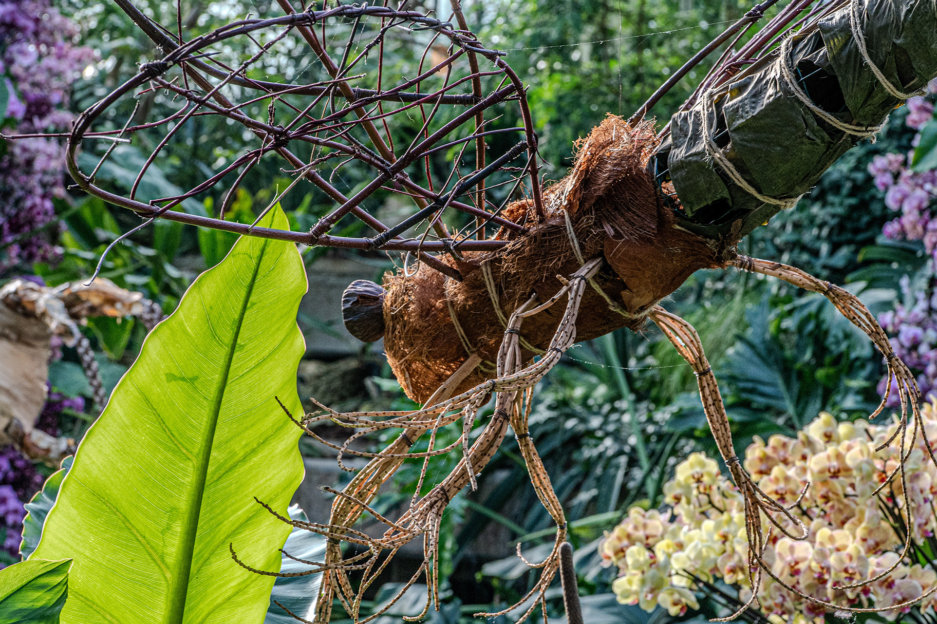 The image depicts a bird's nest made of twigs and other natural materials, hanging from a branch. The nest is intricately woven and contains several brown, speckled eggs. Surrounding the nest are various green leaves and some flowering plants, indicating a lush, natural environment.
