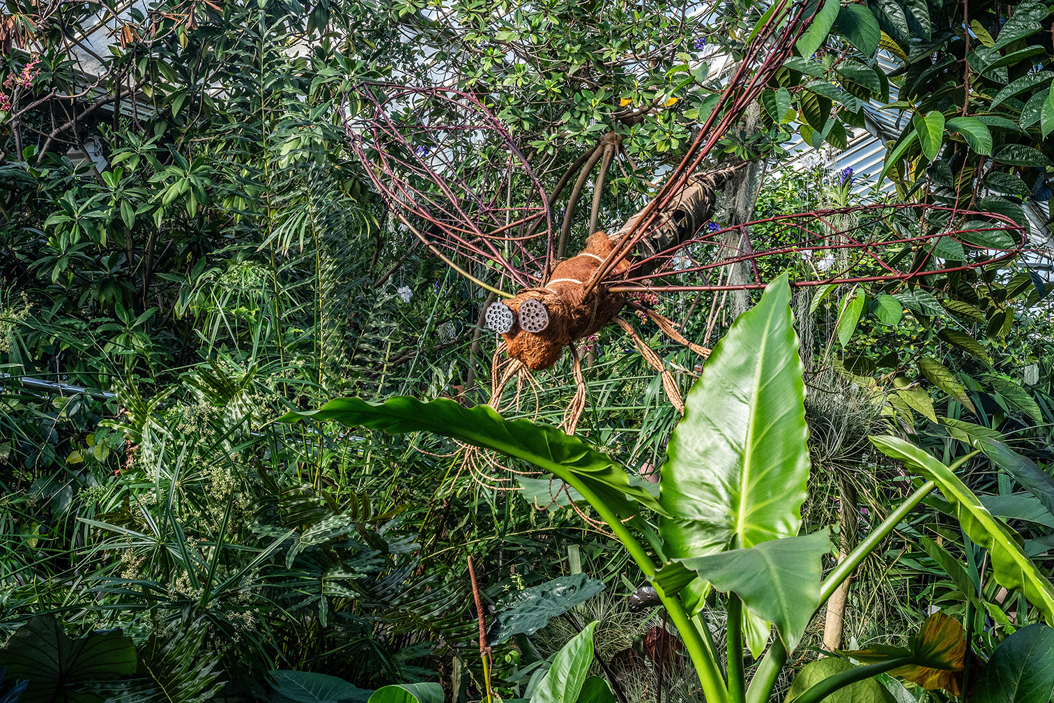 The image depicts a creative and intricate sculpture of an insect made from natural materials such as branches, leaves, and other plant parts. The sculpture is camouflaged within a lush, green garden, blending seamlessly with the surrounding foliage. The insect's body is crafted from a brown, textured material, and its legs are made from thin, flexible branches. The eyes of the spider are constructed from a lattice-like material, adding a unique detail to the artwork. The overall effect is a harmonious integration of art and nature, creating a striking visual impact.