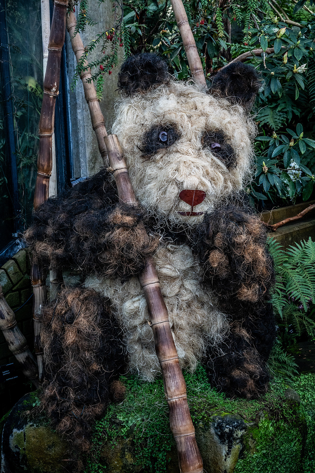 The image depicts a creative and artistic representation of a panda made from natural materials. The panda's face is crafted using light-colored fibers for the fur, with dark fibers for the ears and patches around the eyes. Bamboo sticks are used to form the structure and limbs of the panda, giving it a three-dimensional appearance. The background consists of greenery, enhancing the natural theme of the artwork. The overall effect is a charming and eco-friendly depiction of a panda.