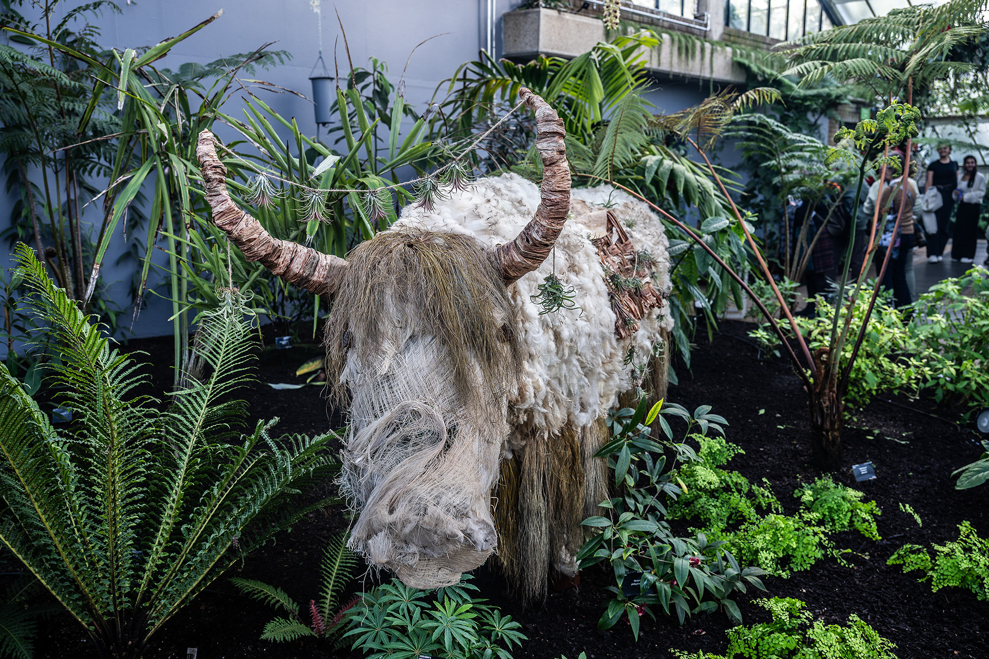 The image depicts a large, intricately crafted bull sculpture made from natural materials such as fur, wool, and wood. The sculpture is situated in a lush, indoor garden setting with various plants and greenery around it. The bull has large, prominent horns and a detailed, textured body. In the background, there are people observing the sculpture, indicating it might be part of an exhibition or display.
