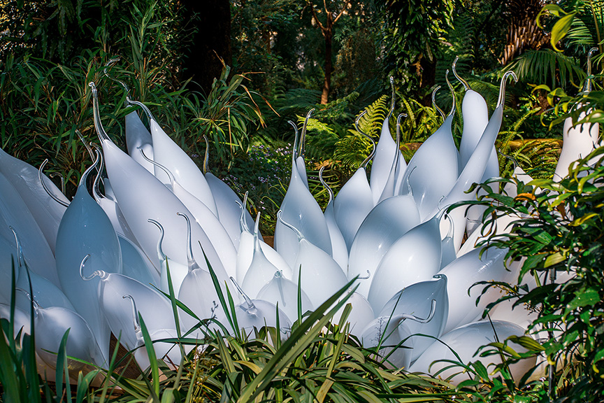 The image depicts a garden scene with large, white, sculptural elements resembling oversized leaves or petals. These structures are arranged in a group, standing upright among lush green foliage and various plants. The setting appears to be a well-maintained garden or park, with the sculptural elements adding an artistic touch to the natural environment.
