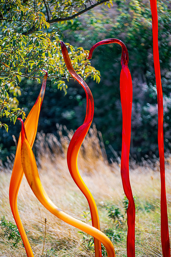 The image features a vibrant outdoor scene with three colorful sculptures in the foreground. The sculptures are made of a material that appears to be metal, painted in bright shades of red and yellow. They have a smooth, curved design that gives them a dynamic and flowing appearance. The background consists of a lush, green tree and some tall, dry grass, providing a natural contrast to the man-made elements in the foreground. The overall composition suggests a blend of art and nature.