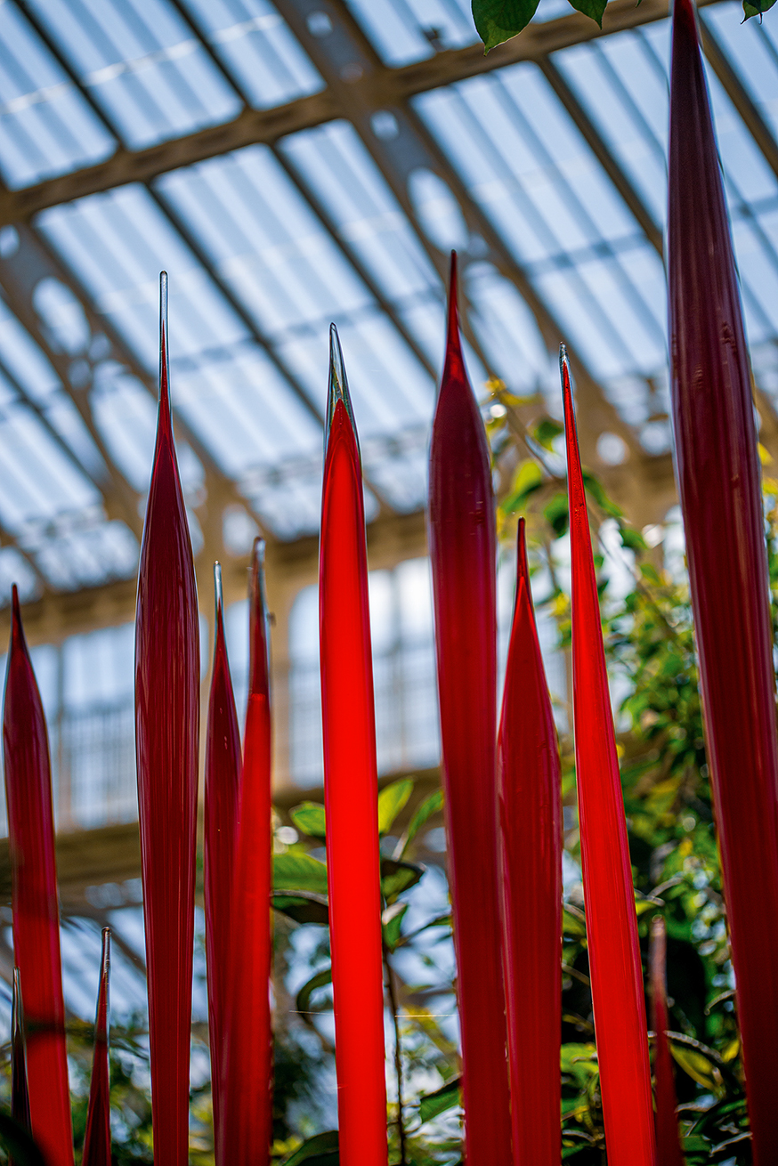 The image depicts a greenhouse interior with tall, red, pointed objects, possibly plant structures or decorative elements, set against a background of a metal-framed glass roof and various green plants.