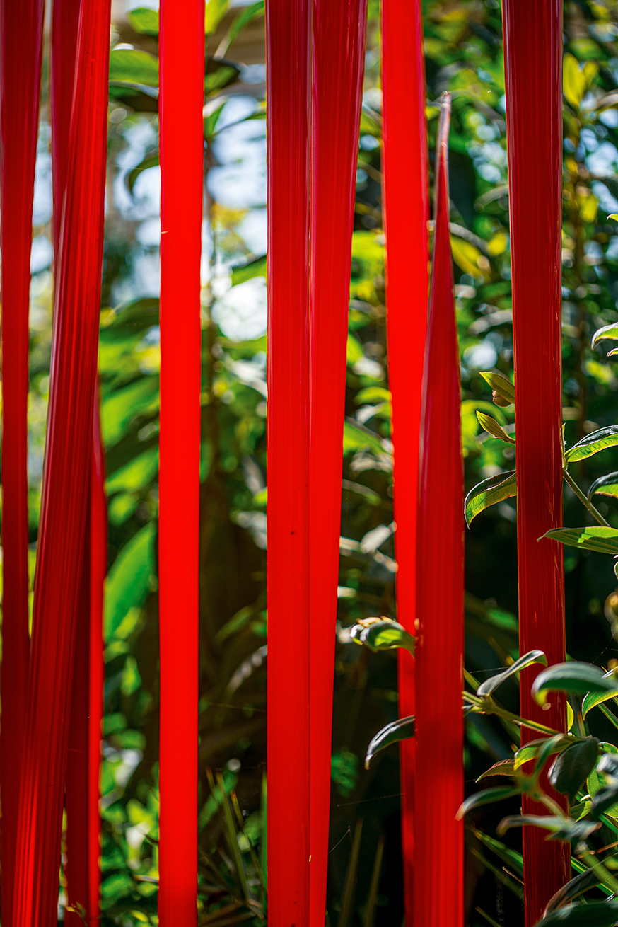 The image shows vertical red poles or bars with green foliage in the background. The red elements are prominent and stand out against the natural greenery, creating a striking contrast. The scene appears to be outdoors, possibly in a garden or park setting.