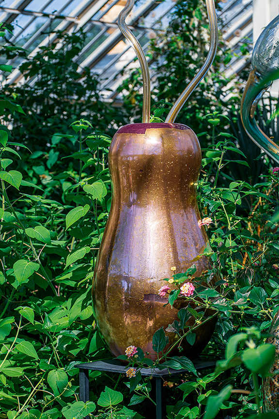 The image shows a large, golden, vase-like hummingbird feeder hanging among lush green foliage. The feeder has two long, curved metal tubes extending from its top, and it is filled with a pinkish liquid, presumably nectar for hummingbirds. The feeder is placed in a garden or greenhouse setting, surrounded by various green plants and leaves.