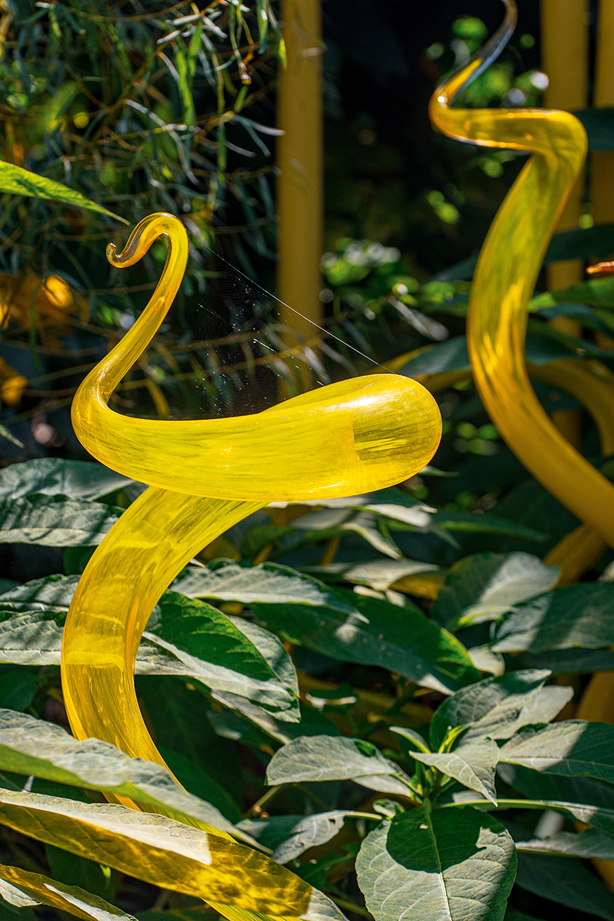 The image depicts yellow glass sculptures in a garden setting, with the sculptures featuring curved, looped designs that stand out against the green foliage in the background.