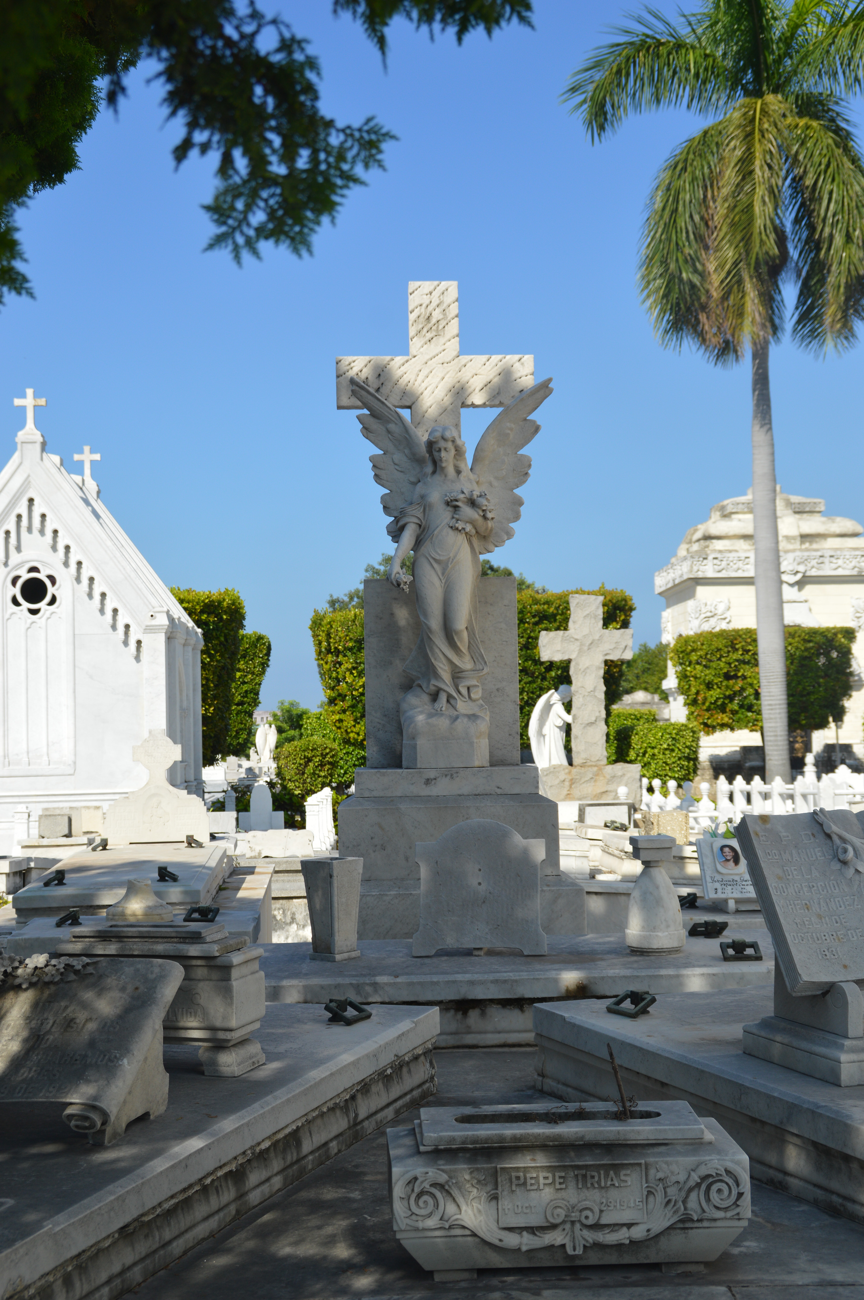 Cemetario_de_Colon_D3200_10102015_530.jpg