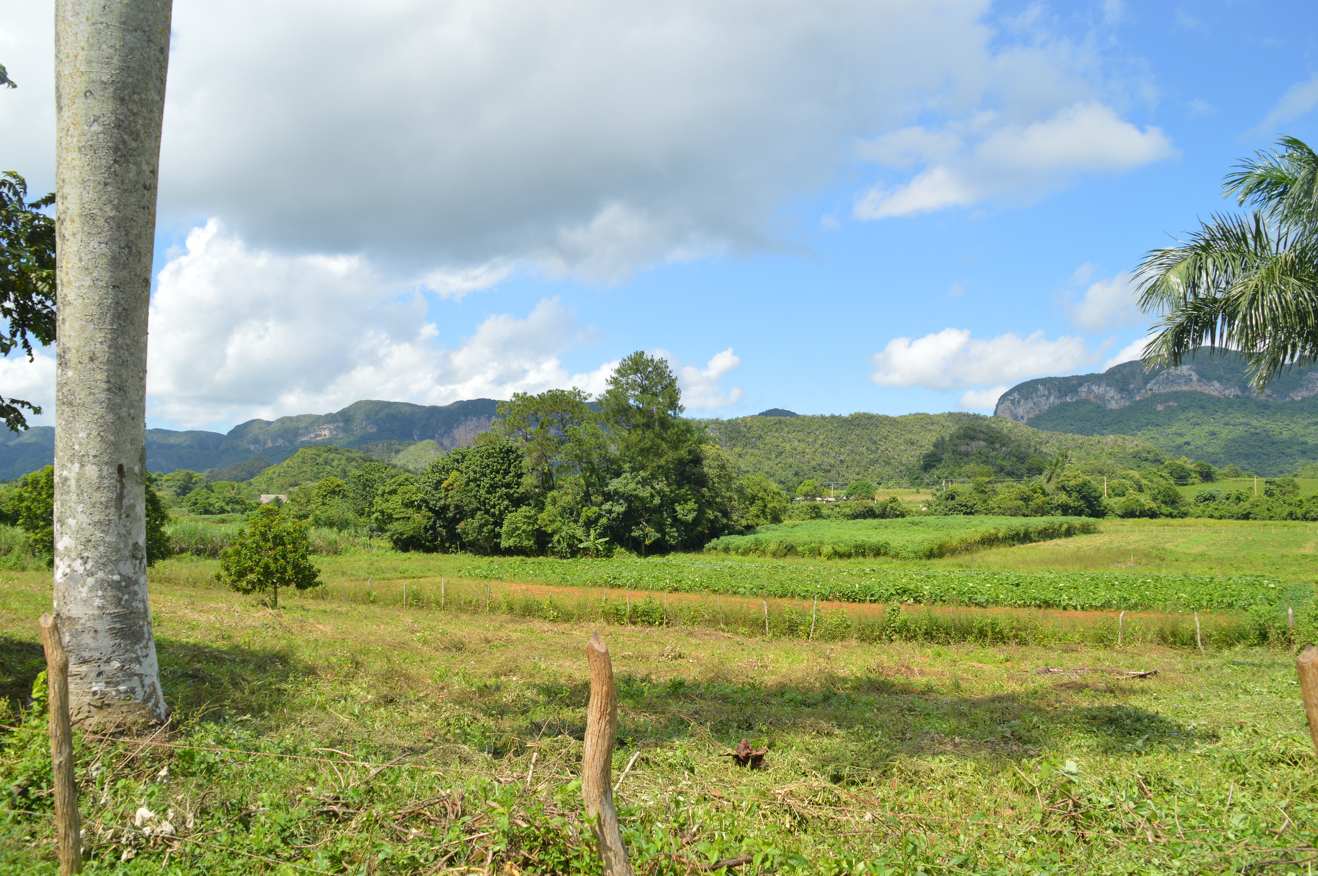 Vinales_D3200_10112015_564.jpg