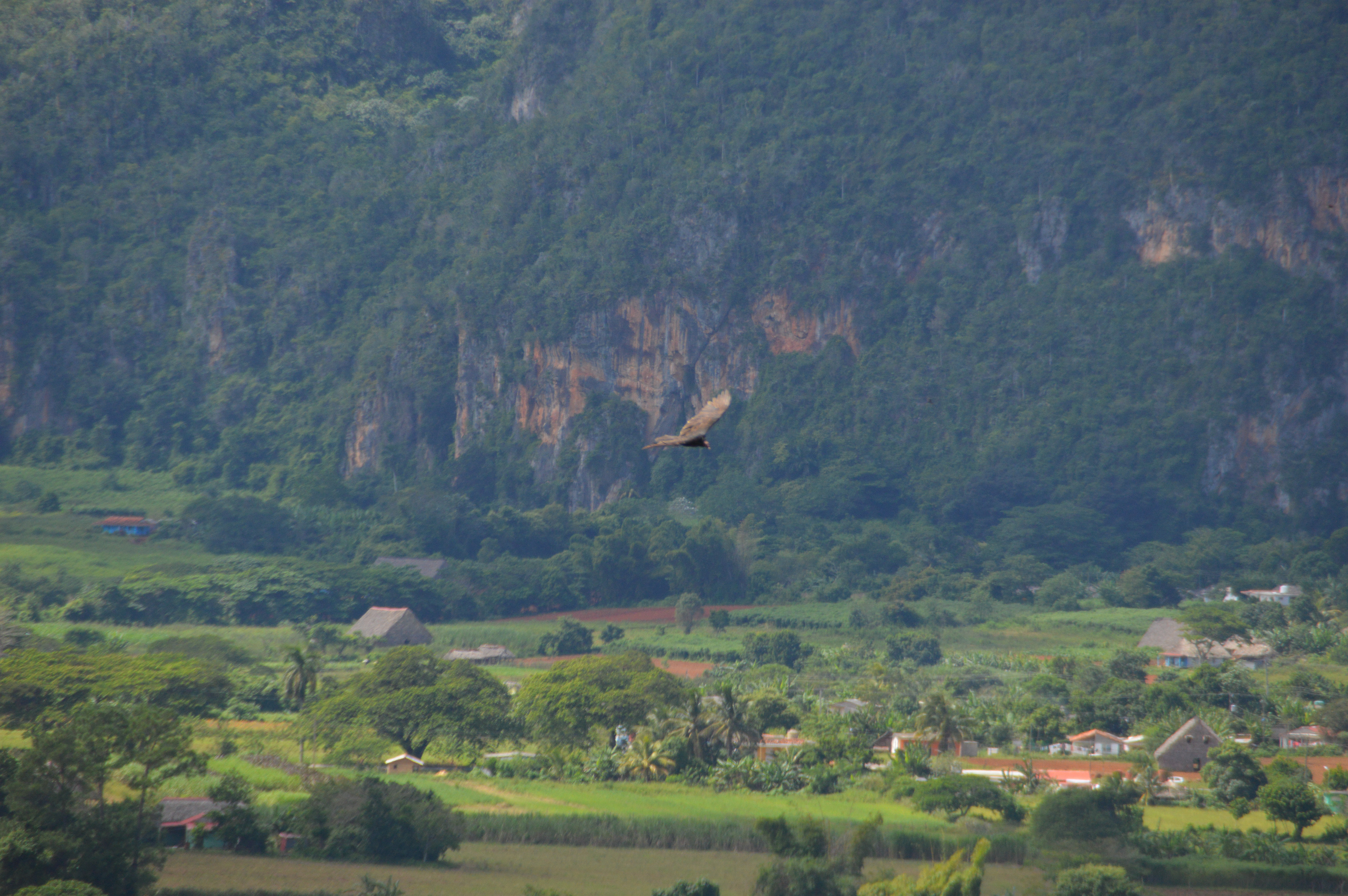 Vinales_D3200_10112015_568.jpg