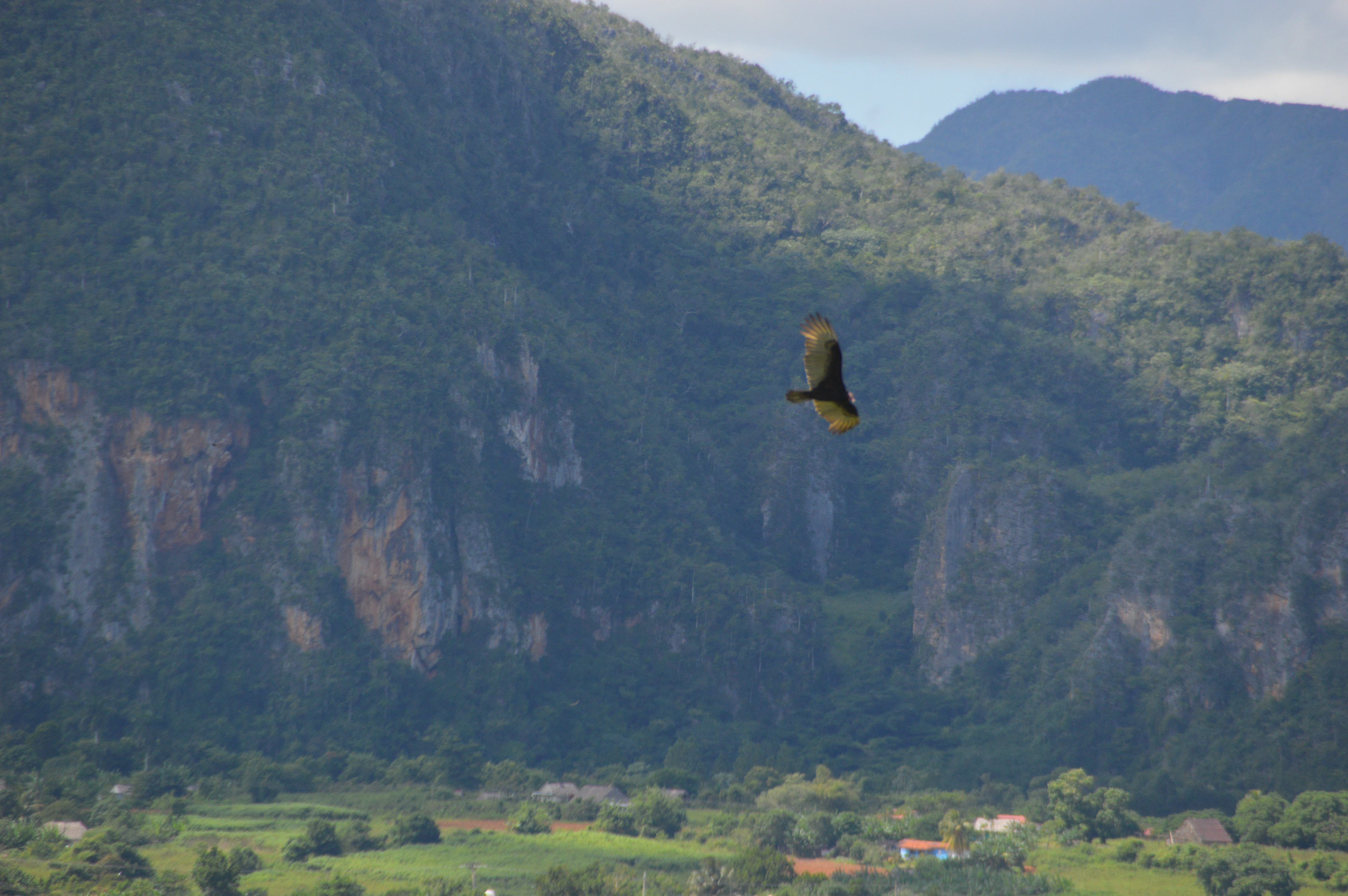 Vinales_D3200_10112015_569.jpg