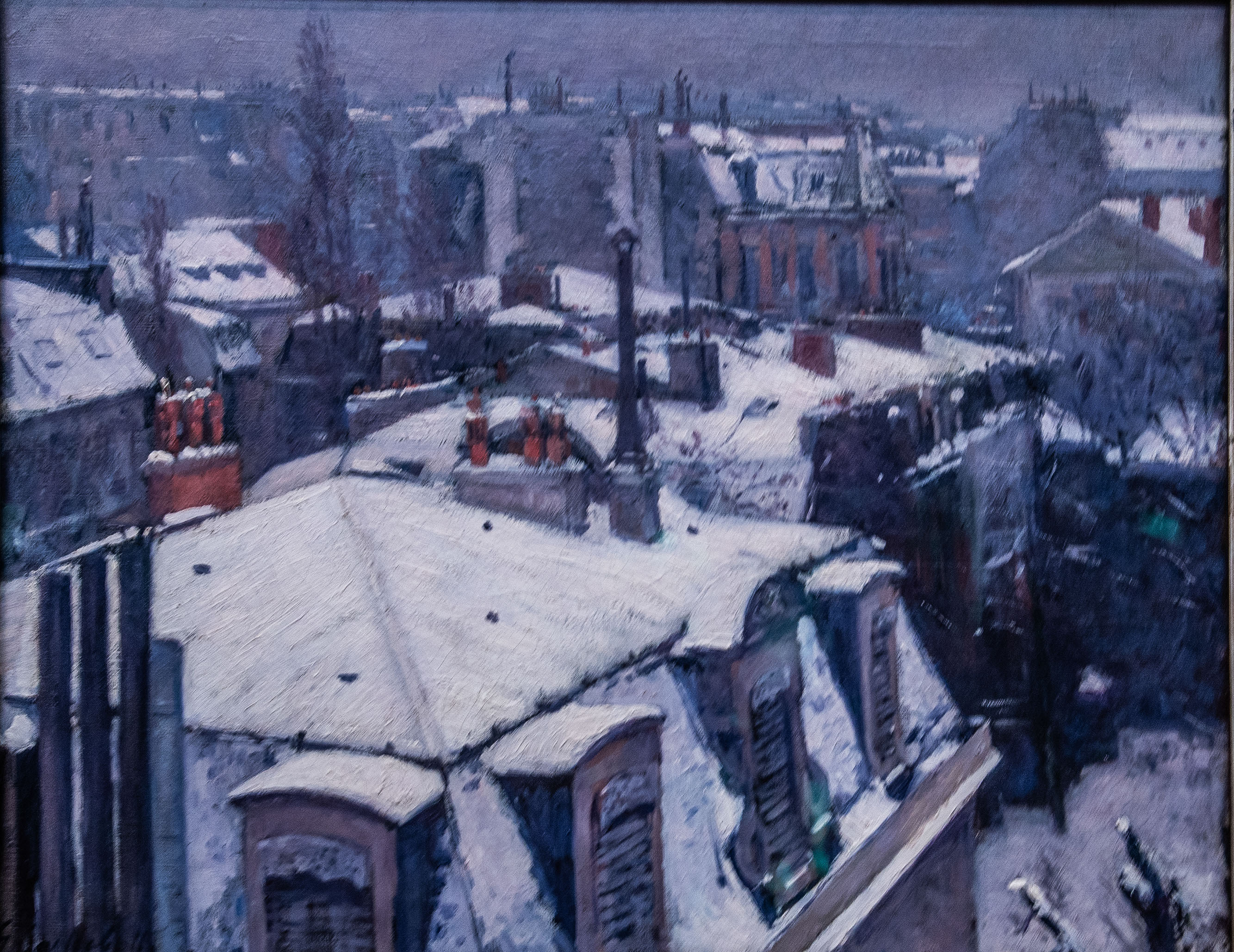 Vue_de_toits_by_Gustave_Caillebotte_D780_05172022_980.jpg