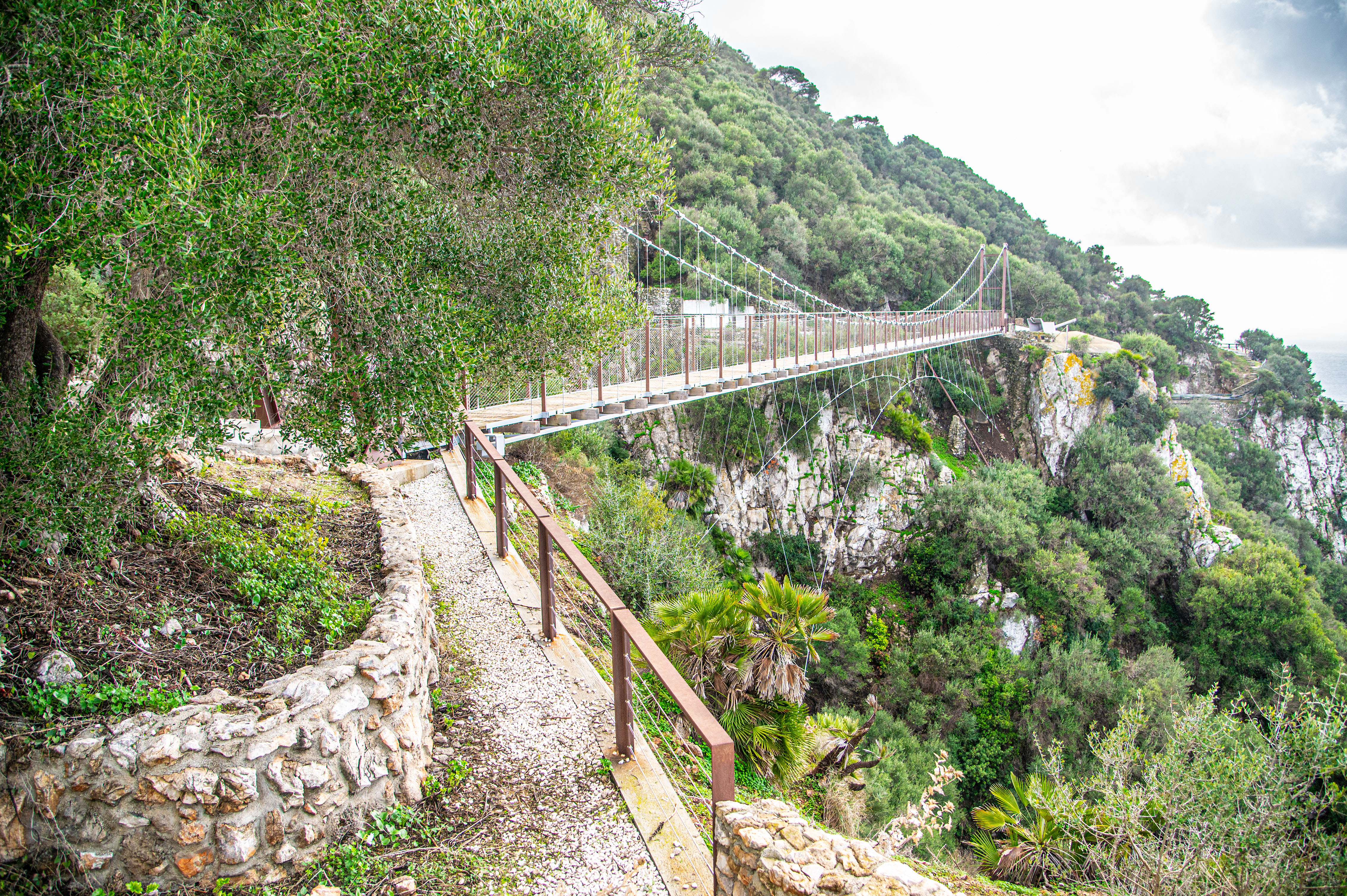 Windsor_Suspension_Bridge,_Gibraltar_20211226_DSC_5767.jpg