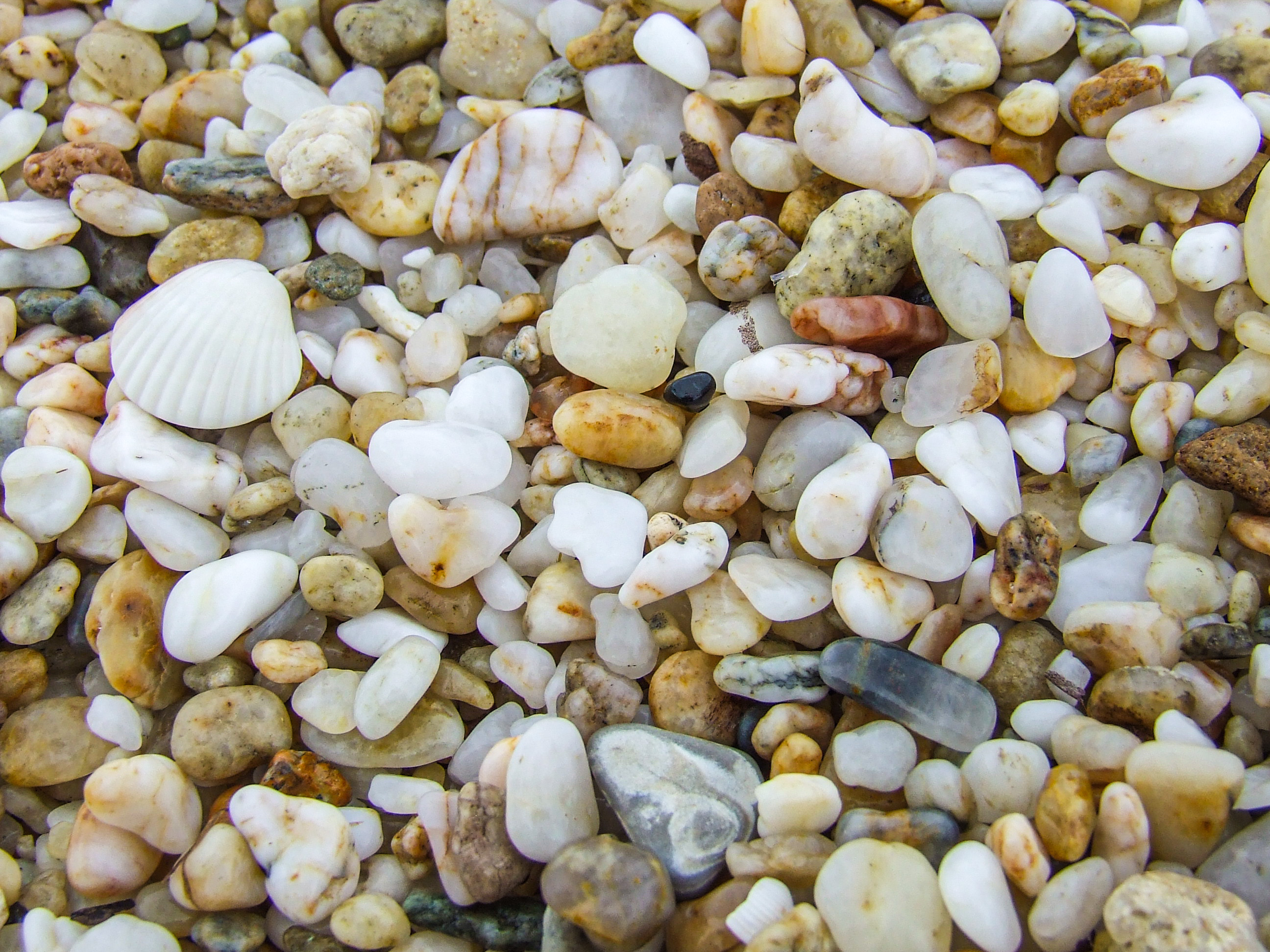 Pebbles on the beach