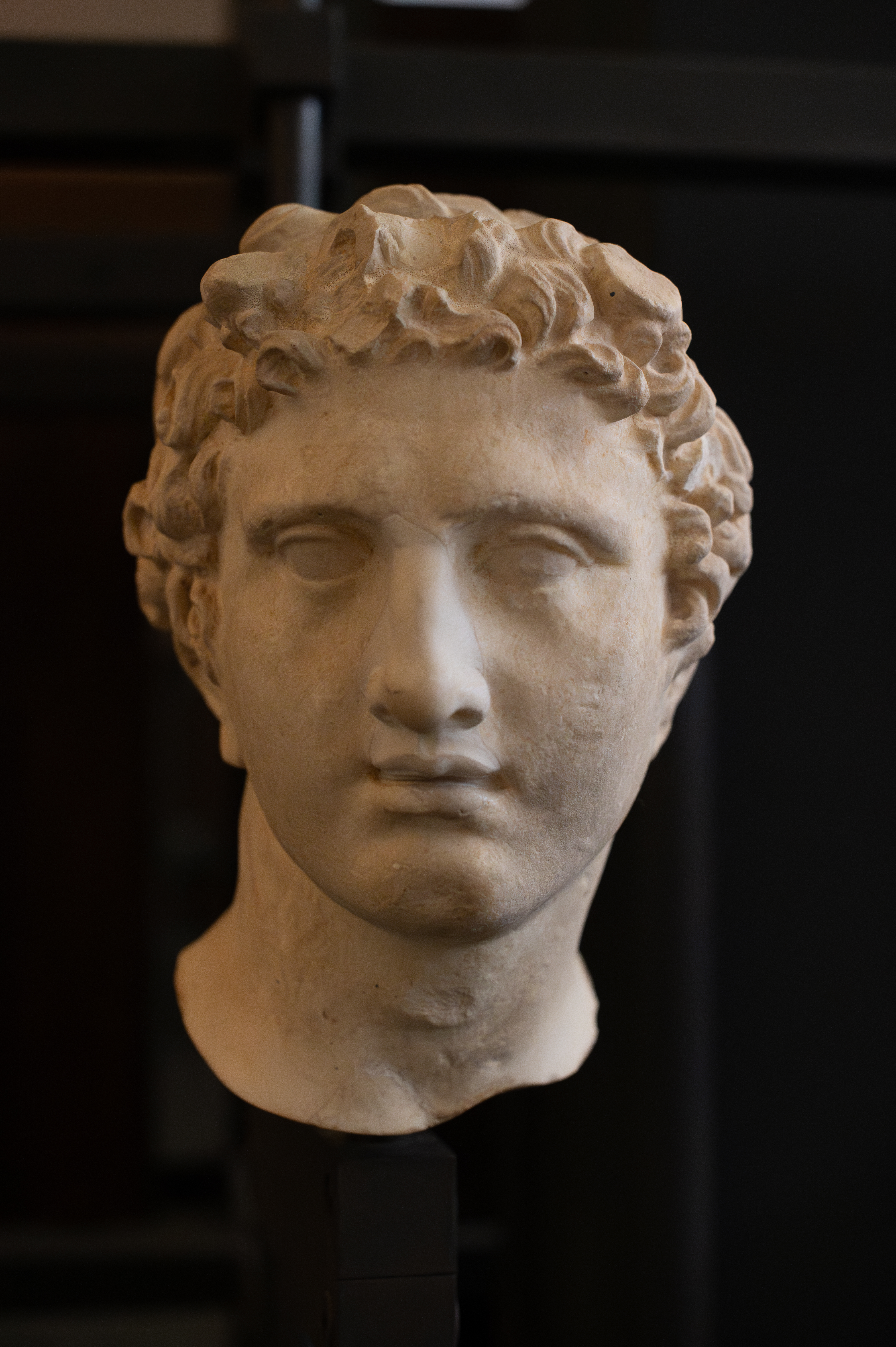 In The Vatican Profane