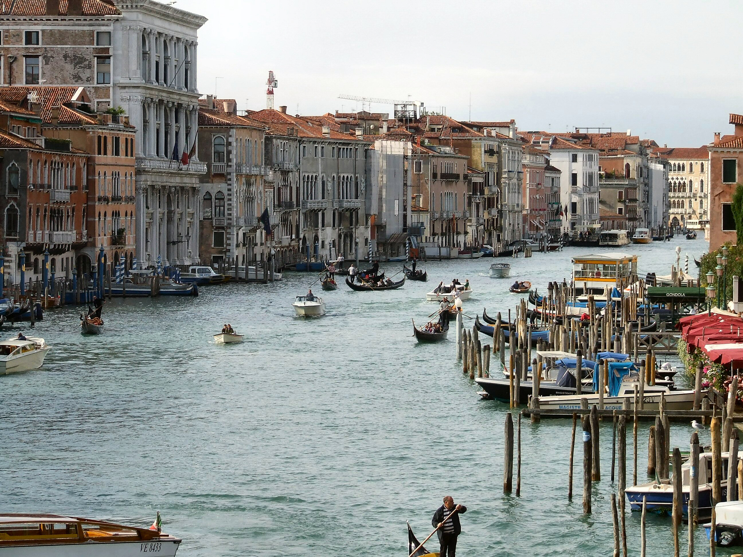 Rialto Bridge View