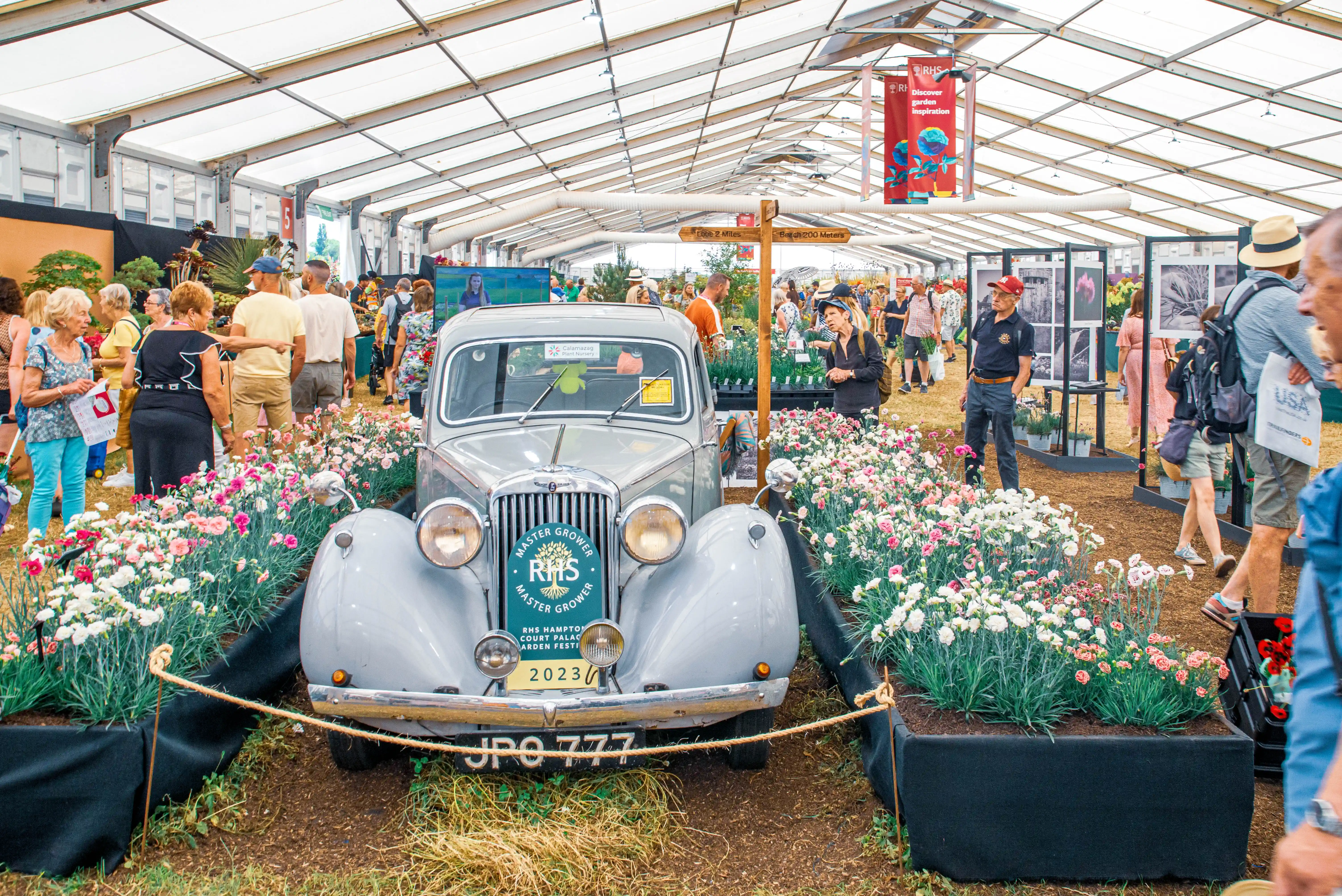 Vintage silver car surrounded by pink and white flowering planters inside a busy horticultural exhibition tent.
