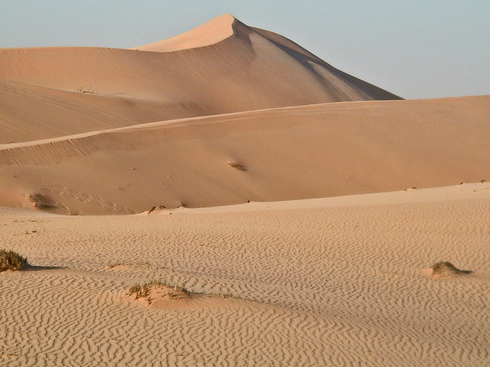 The image depicts a vast desert landscape with large sand dunes under a clear sky. The sand dunes have smooth, undulating surfaces with visible ripples and patterns formed by the wind. The overall scene is characterized by the vastness and the serene, barren beauty of the desert environment.