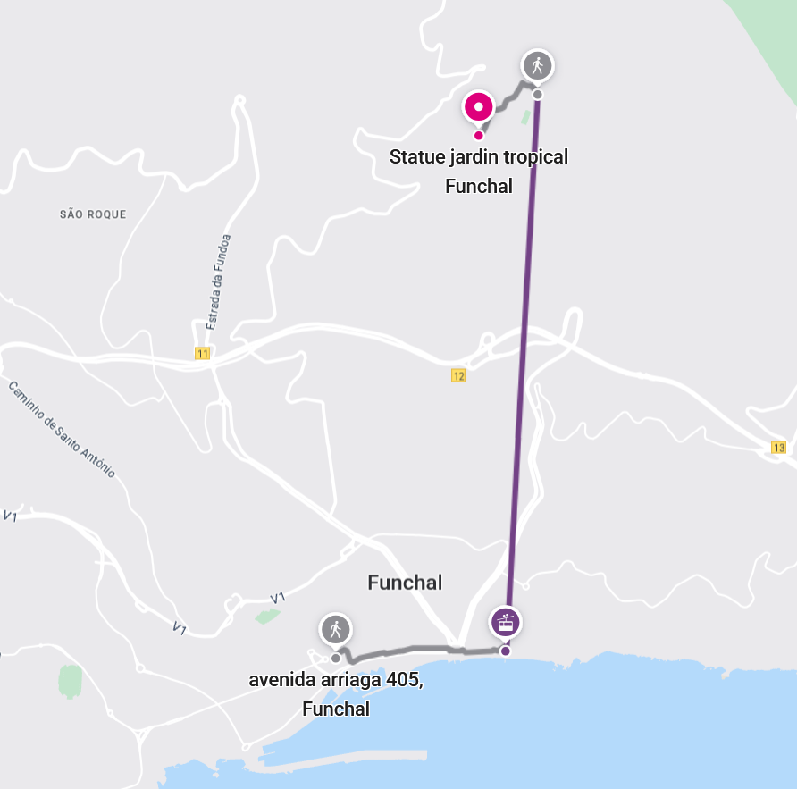 open map in browser